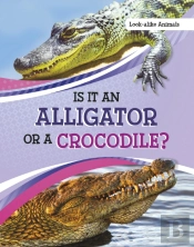 Is It An Alligator Or A Crocodile?