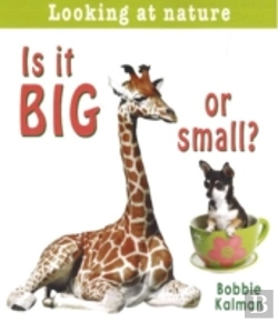 Bertrand.pt - Is It Big Or Small?