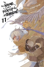 Is It Wrong To Try To Pick Up Girls In A Dungeon?, Vol. 11 (Light Novel)
