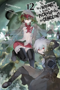 Bertrand.pt - Is It Wrong To Try To Pick Up Girls In A Dungeon?, Vol. 12 (Light Novel)