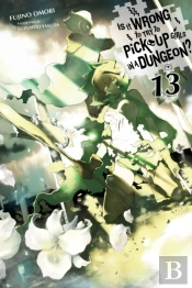 Is It Wrong To Try To Pick Up Girls In A Dungeon?, Vol. 13 (Light Novel)
