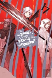 Is It Wrong To Try To Pick Up Girls In A Dungeon?, Vol. 17 (Light Novel)