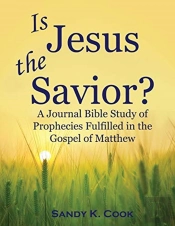 Is Jesus The Savior : A Journal Bible St