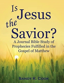 Bertrand.pt - Is Jesus The Savior : A Journal Bible St