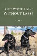 Is Life Worth Living Without Labs?