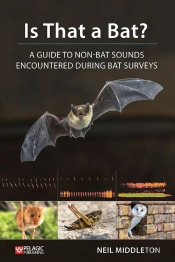 Is That A Bat?