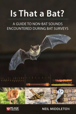 Bertrand.pt - Is That A Bat?