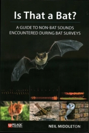 Is That A Bat?
