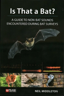 Bertrand.pt - Is That A Bat?