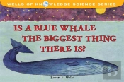 Is The Blue Whale The Biggest Thing There Is?