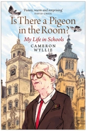 Is There A Pigeon In The Room?
