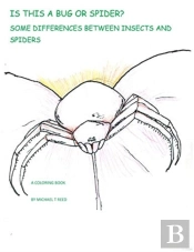 Is This A Bug Or Spider : Some Differenc