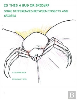 Bertrand.pt - Is This A Bug Or Spider : Some Differenc