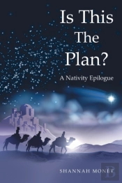Is This The Plan?: A Nativity Epilogue