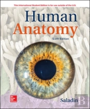 Ise Human Anatomy