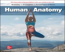 Ise Human Anatomy
