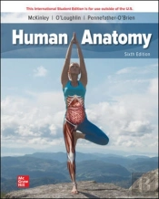 Ise Human Anatomy