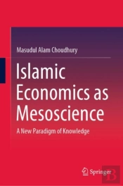 Islamic Economics As Mesoscience