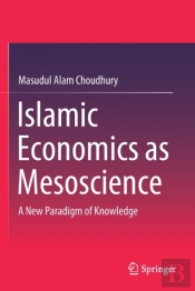 Islamic Economics As Mesoscience