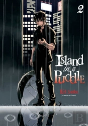 Island In A Puddle 2