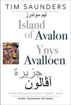 Island Of Avalon / Ynys Avalloen