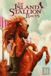 Island Stallion Races