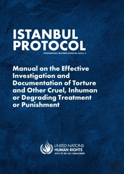 Bertrand.pt - Istanbul Protocol