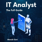It Analyst Internship