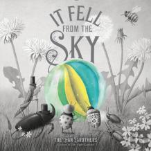 It Fell From The Sky