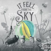 It Fell From The Sky