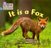 It Is A Fox