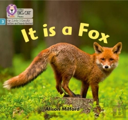 Bertrand.pt - It Is A Fox