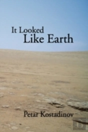 It Looked Like Earth