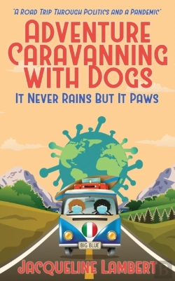 Bertrand.pt - It Never Rains But It Paws
