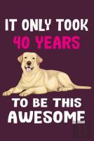 It Only Took 40 Years To Be This Awesome