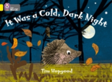 It Was A Cold Dark Night