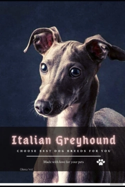 Bertrand.pt - Italian Greyhound