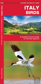 Italy Birds