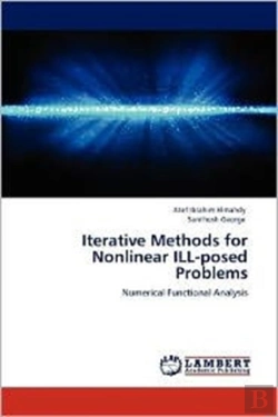 Bertrand.pt - Iterative Methods For Nonlinear Ill-Posed Problems