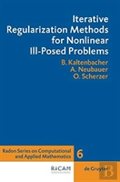 Iterative Regularization Methods For Nonlinear Ill-Posed Problems