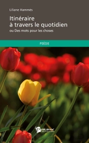 Itinéraire À Travers Le Quotidien Ou Des Mots Pour Les Choses