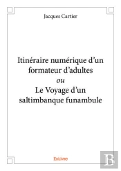 Itinéraire Numérique D'Un Formateur D'Adultes Ou Le Voyage D'Un Saltimbanque Funambule