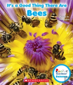 Bertrand.pt - Its A Good Thing There Are Bees