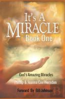 It'S A Miracle Book One