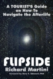It'S A Wonderful Afterlife: Further Adve