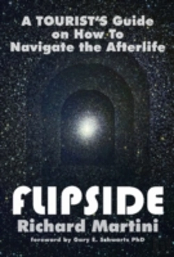 Bertrand.pt - It'S A Wonderful Afterlife: Further Adve