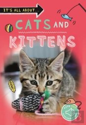 It'S All About... Cats And Kittens