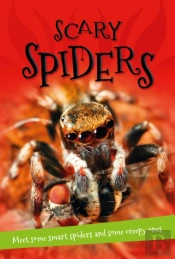 It'S All About... Scary Spiders