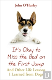 It'S Ok To Miss The Bed On The First Jump