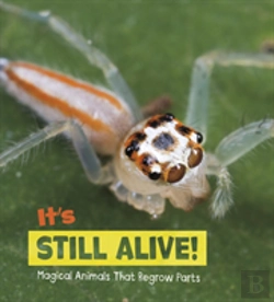Bertrand.pt - It'S Still Alive!